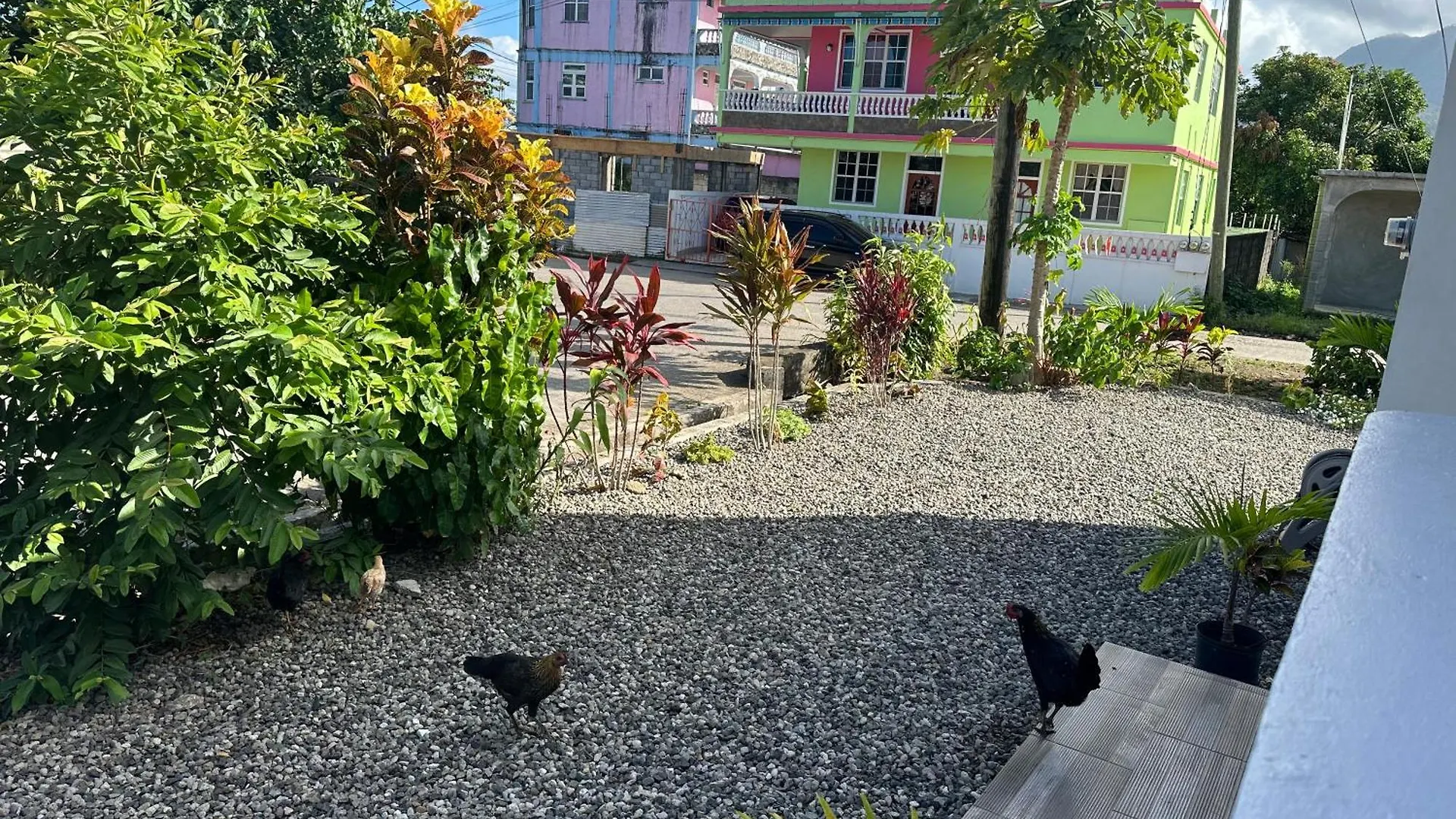 Lucia Bayview House Vila Glanvillia